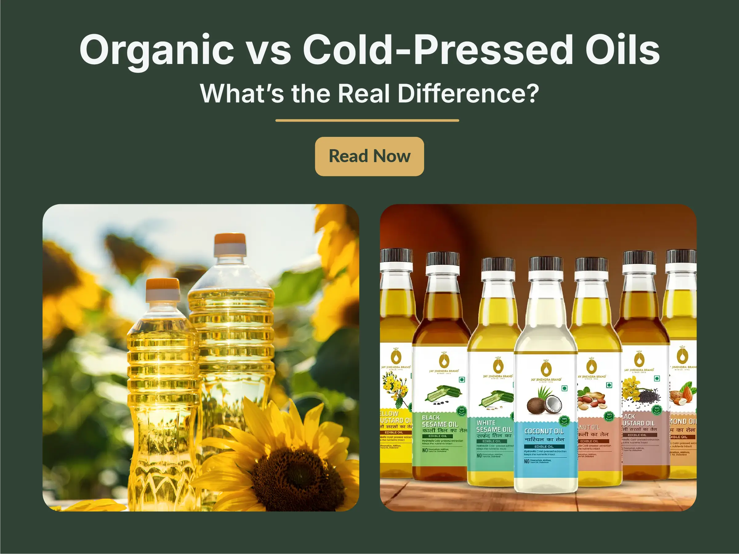 Organic vs Cold-Pressed Oils: What’s the Real Difference?
